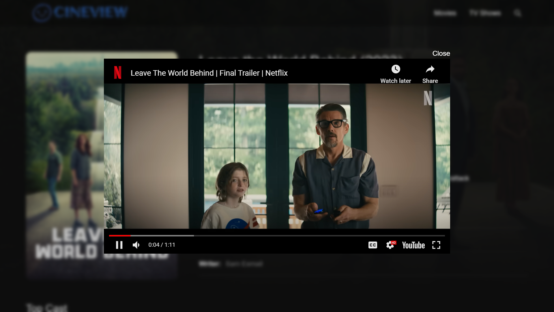 Project CineView Image 6